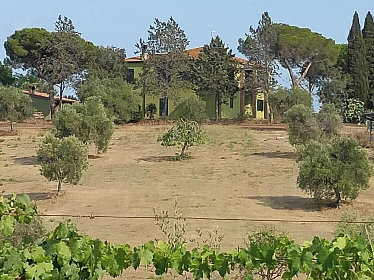 Agriturismo Poggio All'Olivo Follonica